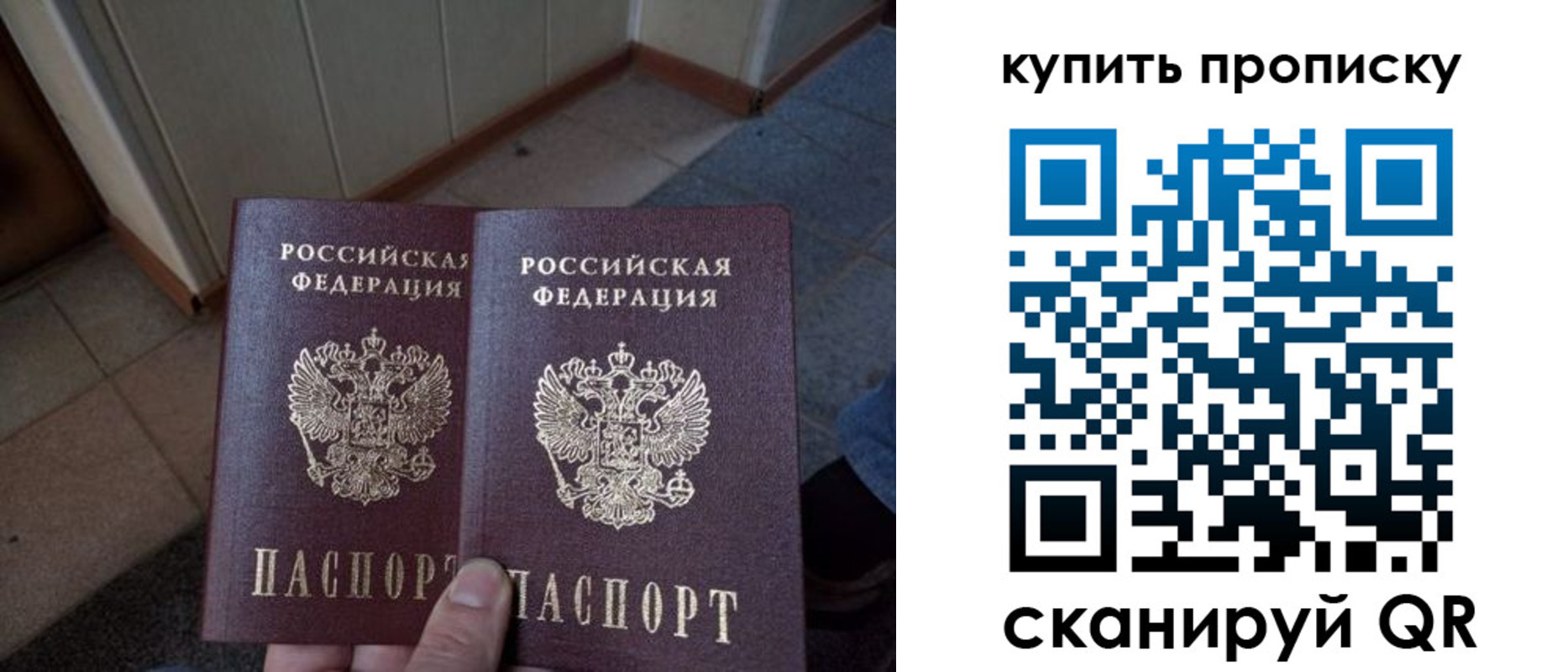 купить прописку в Мурманской области